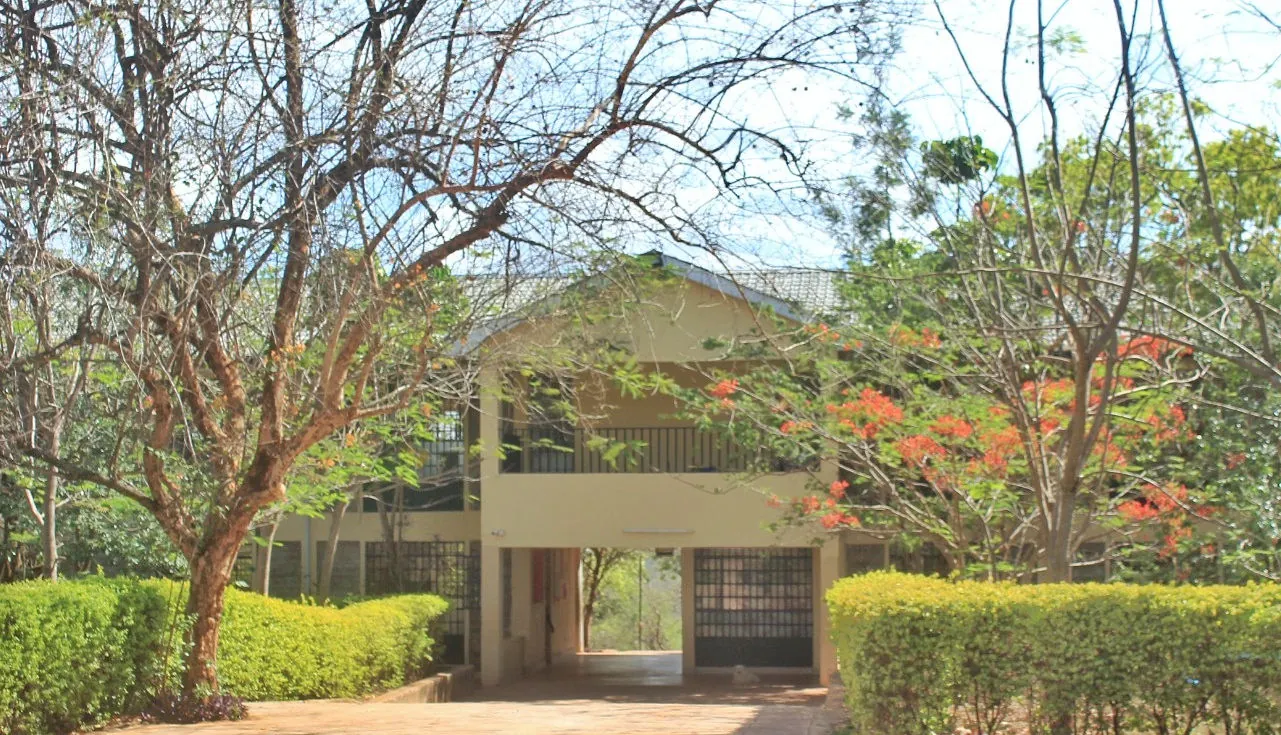 A path leading to a school building framed by trees