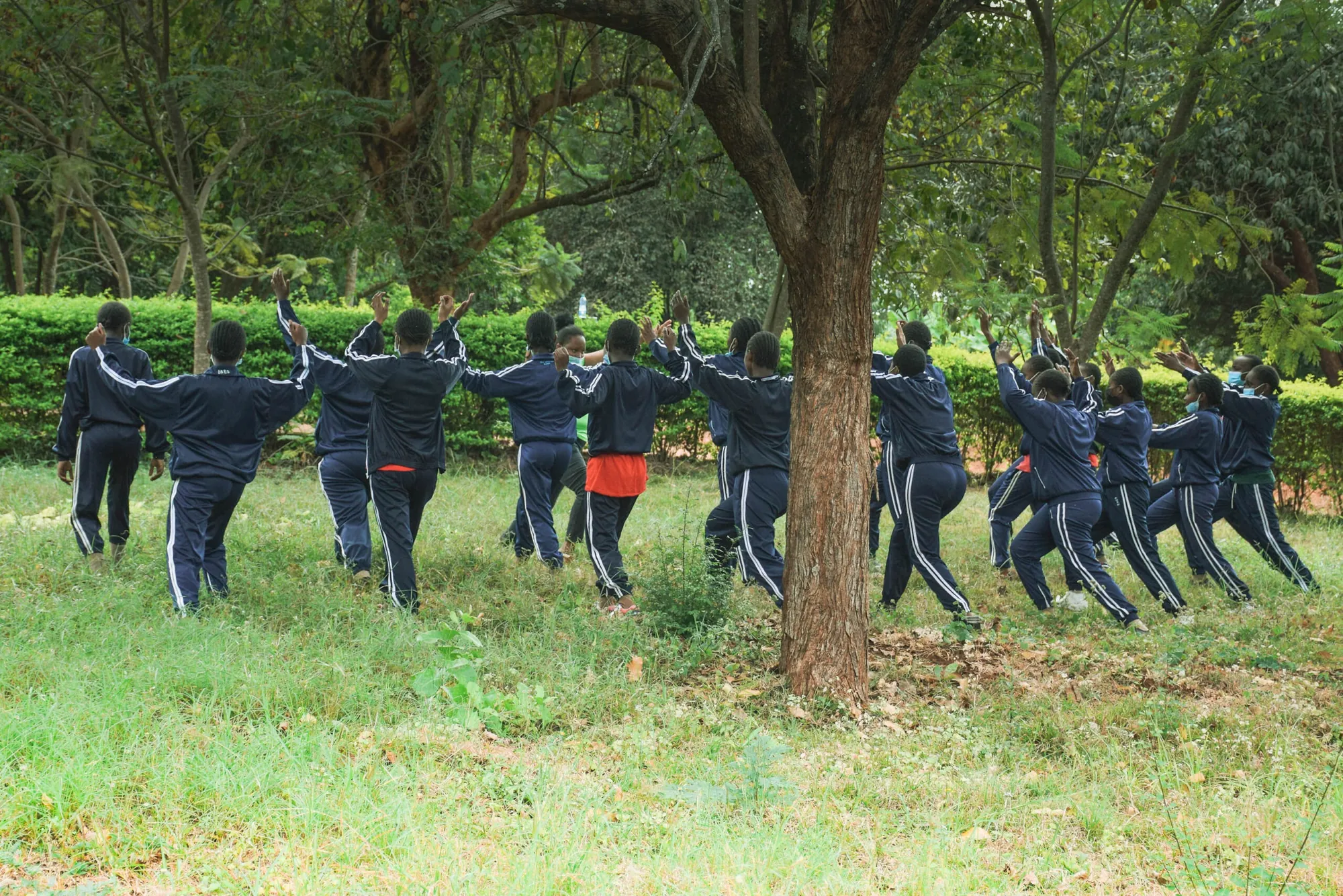 Pupils in dark tracksuits exercising together under a large tree