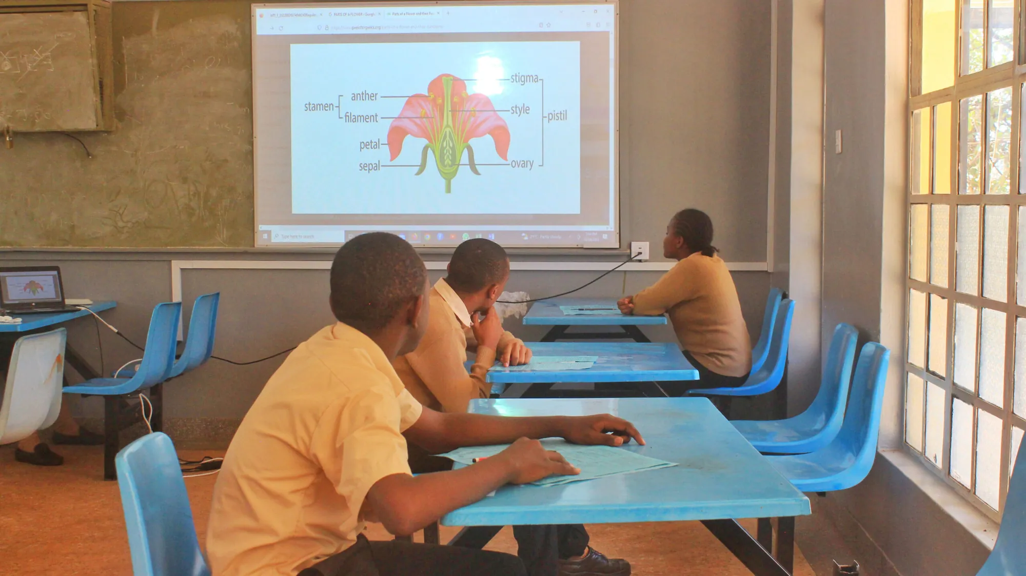 Pupils watching a lesson projected on a classroom wall
