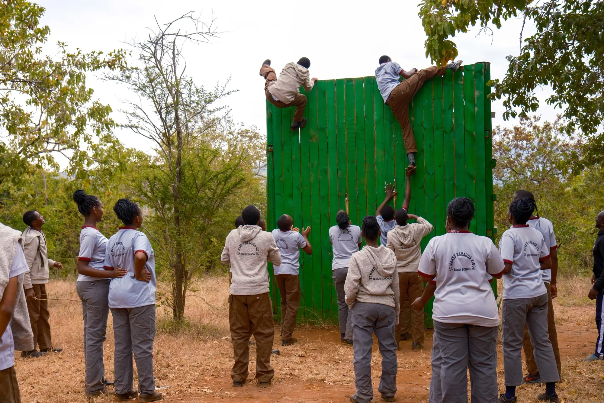 Students taking part in an outdoor team-building climbing exercise